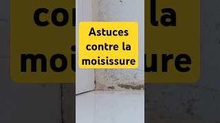 Astuce rapide contre la moisissure [upl. by Atteuqahs]