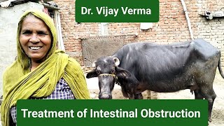 Treatment of Intestinal Obstruction Dr Vijay Verma [upl. by Aileen]