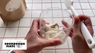 How to Activate GlutenFree Sourdough Starter Flakes revised [upl. by Oicangi]