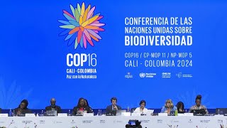 COP16 termina sem acordo para financiar plano de preservação  AFP [upl. by Iarahs]