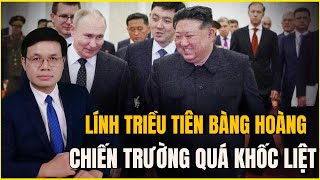 Thương Vong Hơn 1000 Người Mỗi Ngày Lính Triều Tiên Sợ Vỡ Mật Vì Chiến Trường Khốc Liệt [upl. by Cyrilla]