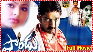 Pandu Telugu Full Movie  Jagapathi Babu  Sneha  Madhu Sharma  South Cinema Hall [upl. by Llekcm602]