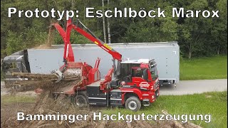 Prototyp Eschlböck MAROX  Hackguterzeugung Bamminger  Agrarprofi [upl. by Asilat]