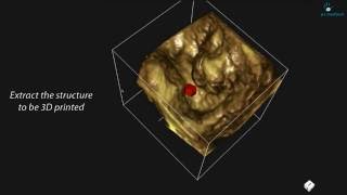 Extraction for 3D printing from a 4D ecography [upl. by Nnylirret746]