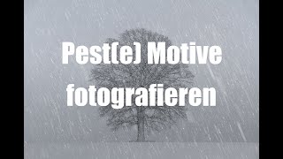 Peste Motive fotografieren [upl. by Meela]