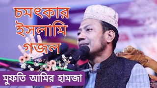 পৃথিবীতে কেউ স্থায়ী হয় না  prithibite keu sthayi hoy na  mufti amir hamja  bangla islamic gaan [upl. by Han]