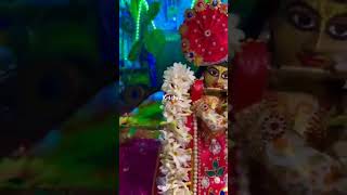 Premanand Ji Maharaj🙏hindugod bankebihari love krishna shorts [upl. by Woo98]