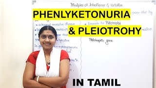 Phenylketonuria  In Tamil  Class 12  Principles Of Inheritance amp Variations [upl. by Airod280]