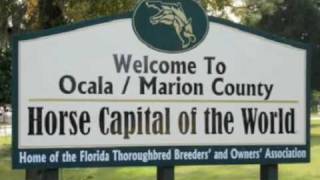 The History of Ocala [upl. by Ecinehs92]