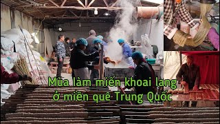 Xưởng Làm Miến Khoai Lang Ở Miền Quê Hà Nam Trung Quốc [upl. by Hallock]