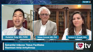 Heart Rhythm TV Update September 2022 Heart Rhythm Journal Epicardial Adipose Tissue EAT [upl. by Altman]