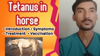 Tetanus in Horse complete guide  Animals  Tetanus treatment  Vet Experts  Dr Abdullah [upl. by Yeclehc]