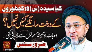 Masaib Bibi Fatima Zahra sa  Ayyam e Fatimiya  Allama Shahenshah Hussain Naqvi [upl. by Annayhs711]