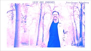 LEIF OVE ANDSNES Mozart Piano Concerto No17 In G K 453 1 Allegro [upl. by Lil]