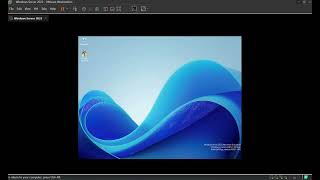 windows server 2025 datacentre desktop experience vmware [upl. by Kcered966]