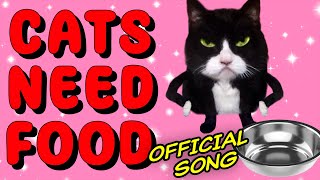 Cats Need Food Official Kittycat Song 2 [upl. by Rebecca807]