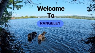 Welcome To Rangely  Shar Pei  thewrinklesquad dog adventure [upl. by Sedgewake]