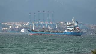 AFRICA MOROCCO LINK Ferries Entering and Exiting Algeciras Port 28 Nov 2023 [upl. by Charles]