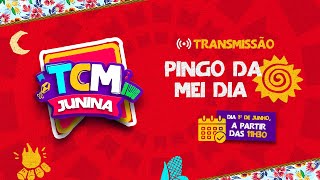 🔴 AO VIVO Pingo da Mei Dia 2024  TCM Junina [upl. by Richlad]