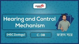 7 Hormones and Endocrine Gland  হরমোন ও অন্তক্ষরা গ্রন্থি  Coordination and Control [upl. by Aihsel]