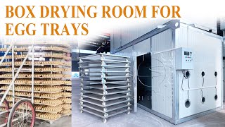 Box Dryer Room for Egg Tray Drying  Efficient and Reliable Solutioneggtray dryer drying [upl. by Zedekiah]