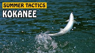 The BEST Baits For KOKANEE FISHING From A PRO [upl. by Forster733]