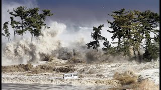 Understanding Tsunamis Natural Disasters 101 [upl. by Acyre]