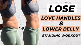 10 MIN LOVE HANDLES AND LOWER BELLY FAT WORKOUT Standing Only  No Equipment [upl. by Airtemak607]