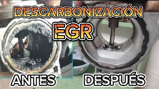 EGR Desmontaje limpieza y comprobación 19 TDI VAG [upl. by Kilk629]