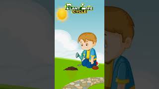 Plant Life Cycle for Kids PlantLifeCycle KidsEducation ScienceForKids EducationalVideo Kids [upl. by Rufena]