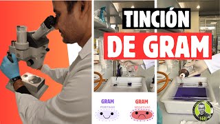 Tinción de Gram El secreto para desenmascarar a las bacterias [upl. by Ycram434]