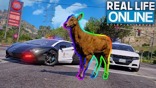 ECHTE ADMINS ALS TIERE  GTA 5 Real Life Online [upl. by Aneri]