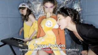 Terry Poison  Synthetic Harmonizer Don Rimini Remix [upl. by Wichman869]