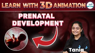 Detailed Exploration of Prenatal Development with 3D Animation  NEET 2025  NEET Zoology [upl. by Ardek]