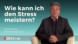 Wie kann ich den Stress meistern  Alternativmedizin  QS24 Gesundheitsfernsehen [upl. by Major466]