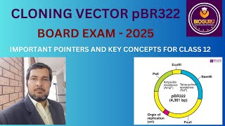 CLONING VECTOR pBR322 IMPORTANT POINTERS AND KEY CONCEPTS FOR CLASS 12 BOARD EXAM2025 [upl. by Eartnoed213]