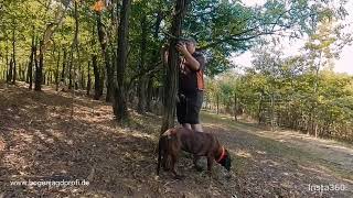 Bogenjagd  so verbesserst Du Deinen Jagderfolg Zeiss Sesacam [upl. by Hsejar]