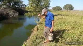 DIA DE PESCA COM MEU TIO  Hortaliças Azeredo [upl. by Nrobyalc]