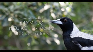 Two minutes with the Olympus mZuiko 12100 [upl. by Manvel580]