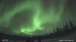 November 2 2024 Northern Lights Timelapse in Fairbanks Alaska [upl. by Romulus]