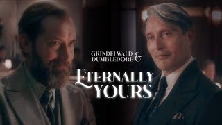 ❥ Eternally Yours  Grindelwald amp Dumbledore [upl. by Nagle]