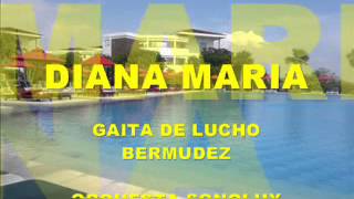 DIANA MARIA GAITA LUCHO BERMUDEZ [upl. by Allina280]