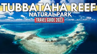 Exploring Tubbataha Reefs Natural Park Jewel of the Philippines  Travel Guide [upl. by Neirol]