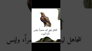 لماذا نتجاهل [upl. by Ot]