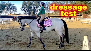 Beginner NOVICE DRESSAGE Test A  USEF Eventing learn more Video [upl. by Edy]