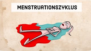 Der Menstruationszyklus [upl. by Notsirb471]