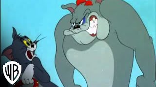 Tom and Jerry In the Dog House  quotCat Nappingquot  Hammock  Warner Bros Entertainment [upl. by Nnairam]