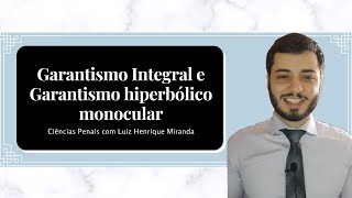 Garantismo Integral e Garantismo Hiperbólico Monocular [upl. by Elyrpa]