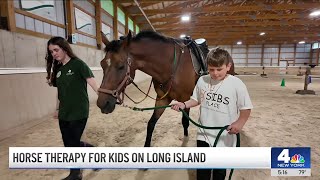 Horse therapy for kids on Long Island [upl. by Berliner527]