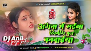 angana me saiya swimming pul banwaya bhojpuri song  angana me saiya swimming pul banwaya dj remix [upl. by Marzi]